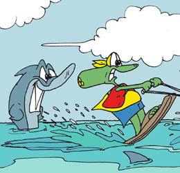 Sapo Brothers, divers�o, tiras, humor, games, jogos, anima��o, anima, quadrinhos, infantil, minja, jones